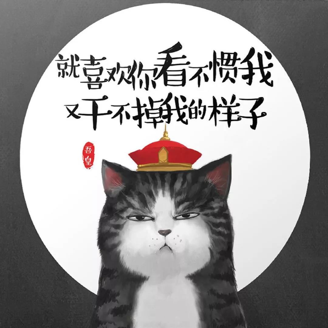 Zst_MBT_20191102_10