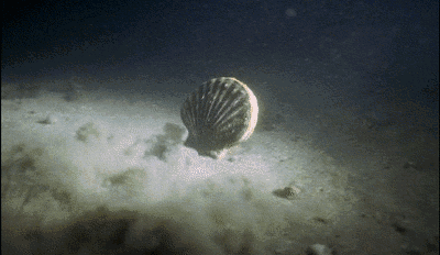 Zst_MBT_20191112_2