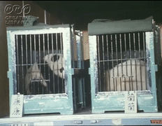 Zst_MBT_20191223_2