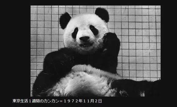 Zst_MBT_20191223_3
