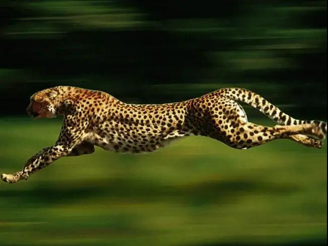 Zst_MBT_20200929_3